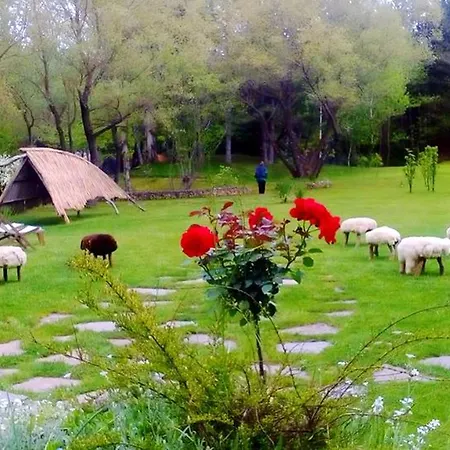 Hébergement de vacances Holiday Omaya Eco Village - 2 Gaytaninovo